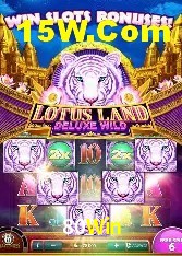 Programa VIP 80Win